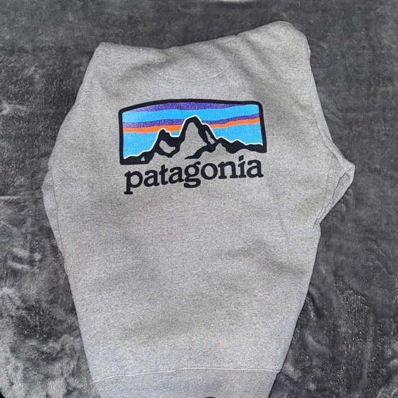 Patagonia Men's Light Gray Hoodie - Picture 2 of 5